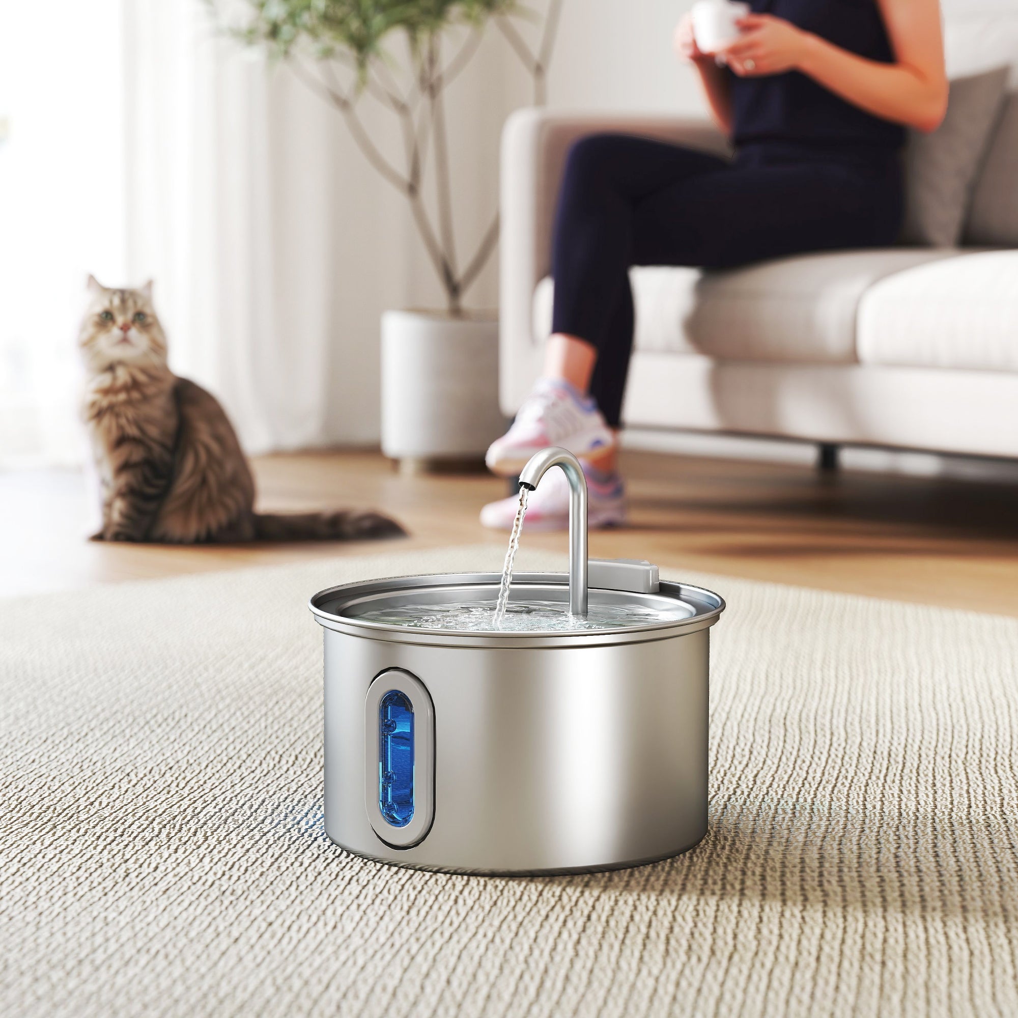 Fontaine à eau pour chat avec lumière LED, brosse et 2 jets d'eau, en acier inoxydable 304, 19,4 x 19,4 x 18,7 cm, argent - 3