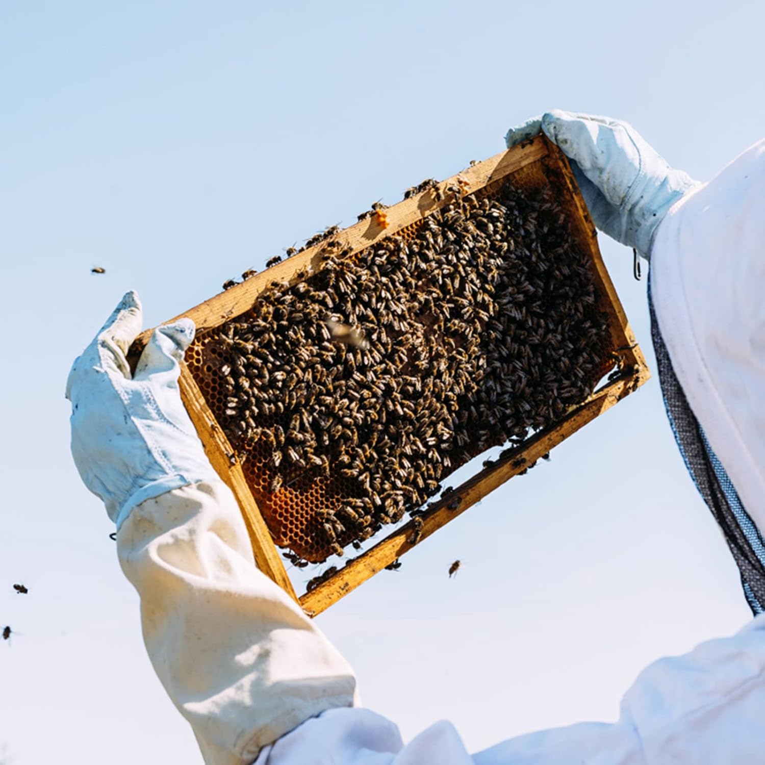 Gants d'apiculture en peau de chèvre - Gants de protection pour apiculteur avec manches ventilées - 3