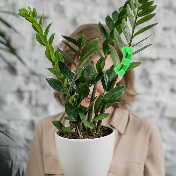 Pinces de pliage de plantes à 90 °, 20 pièces, outil de pliage de plantes, Support de vigne de légumes, Clips de Support de jardin - 5