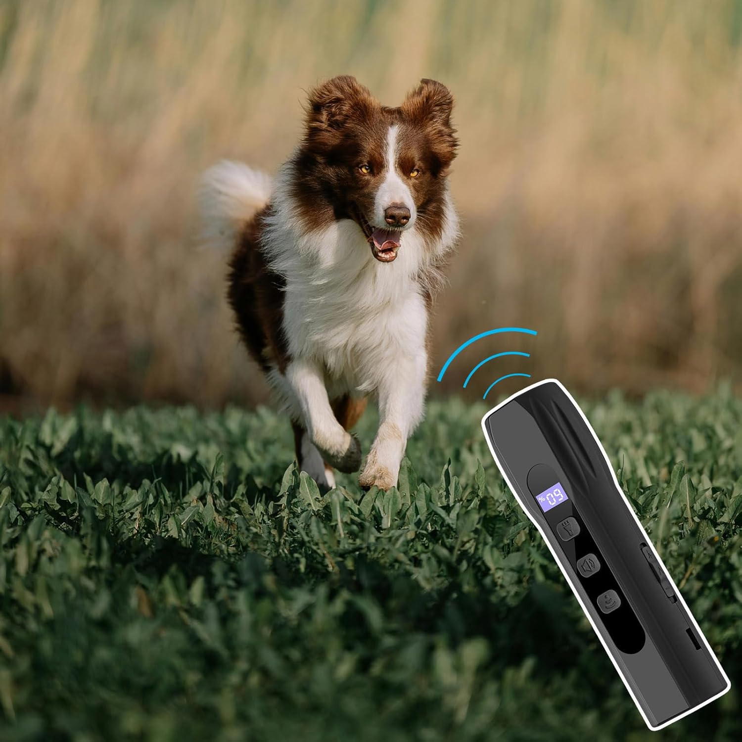 Répulsif ultrasonique pour chien avec lumière LED, entraînement comportemental, 3 fréquences sonores et bouton durable - 3