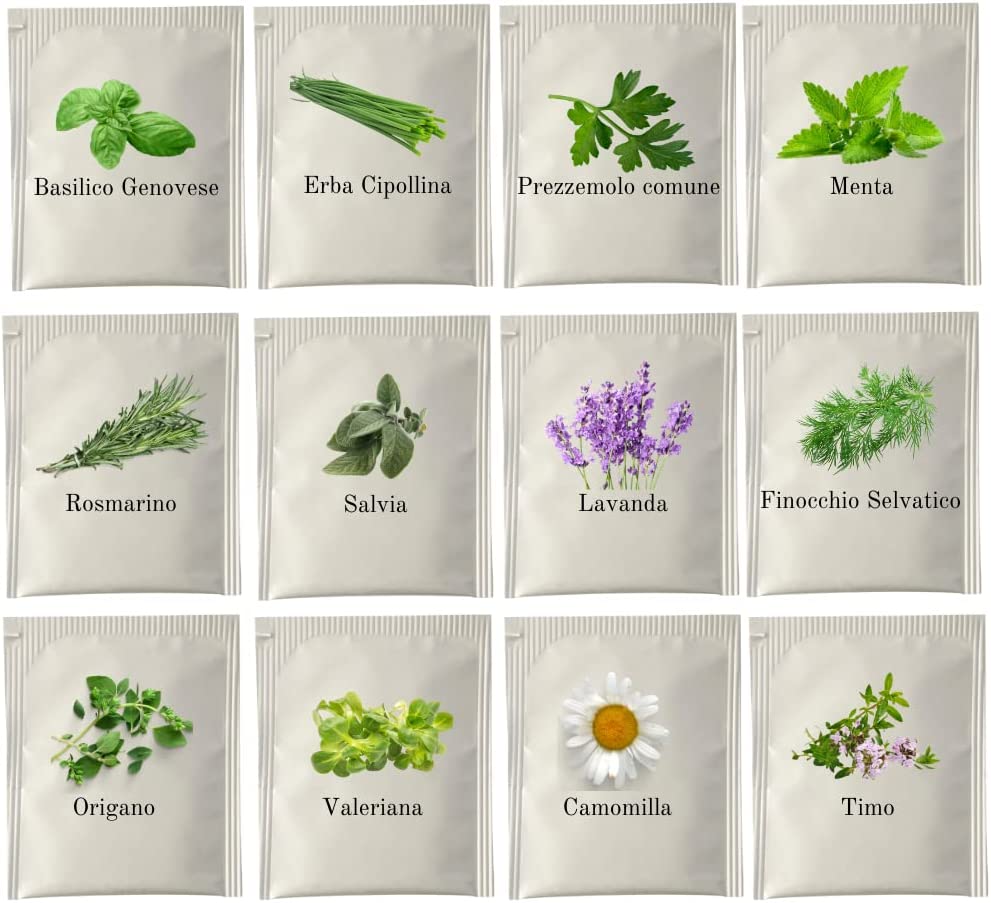 12 Erbe Aromatiche Semi: Basilico, Erba Cipollina, Prezzemolo, Menta, Salvia, Lavanda, Finocchio, Origano, Valeriana, Camomilla, Timo, Rosmarino - 6