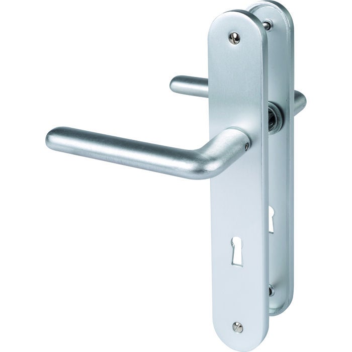 Poignée de porte intérieure - New camelia sup - Eurowale - Gris argent ...