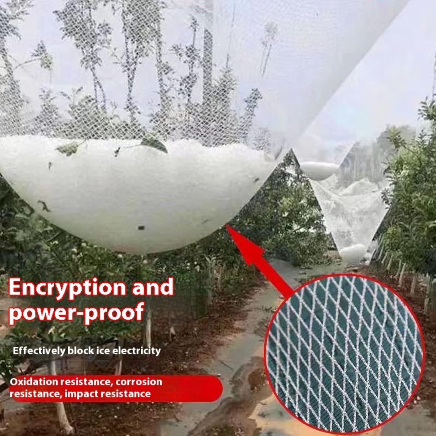 Filet Anti-grêle pour Plantes, vergers et Jardins - Protège Fruits et légumes, 5 mm, découpable, réutilisable, idéal pour Les serres et Les Arbres fr - 5
