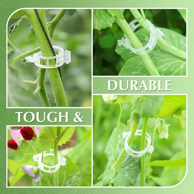 Clip per reggette per ve da giardino in plastica, anello con fibbia in bundle per piante, pomodoro, ve, gancio per piante, strumenti di supporto 15 Clip per reggette per ve da giardino in plastica, anello con fibbia in bundle per piante, pomodoro, ve, gancio per piante, strumenti di supporto 15