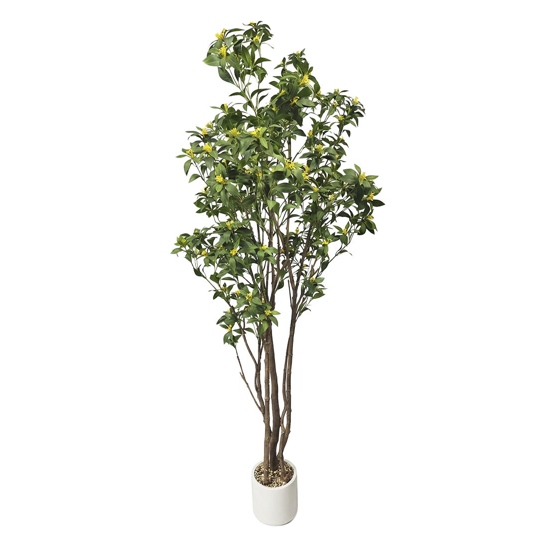 Planta artificial decorativa Osmanthus de 210 cm en maceta color verde - 2