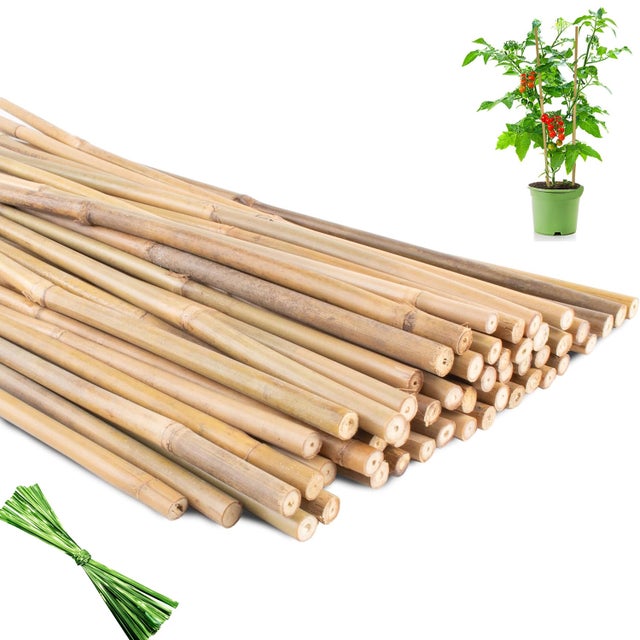 Lot de 20 piquets de jardin en bambou naturel pour tomates, haricots, plantes en pot d'intérieur et d'extérieur (45 x 0,8 cm)