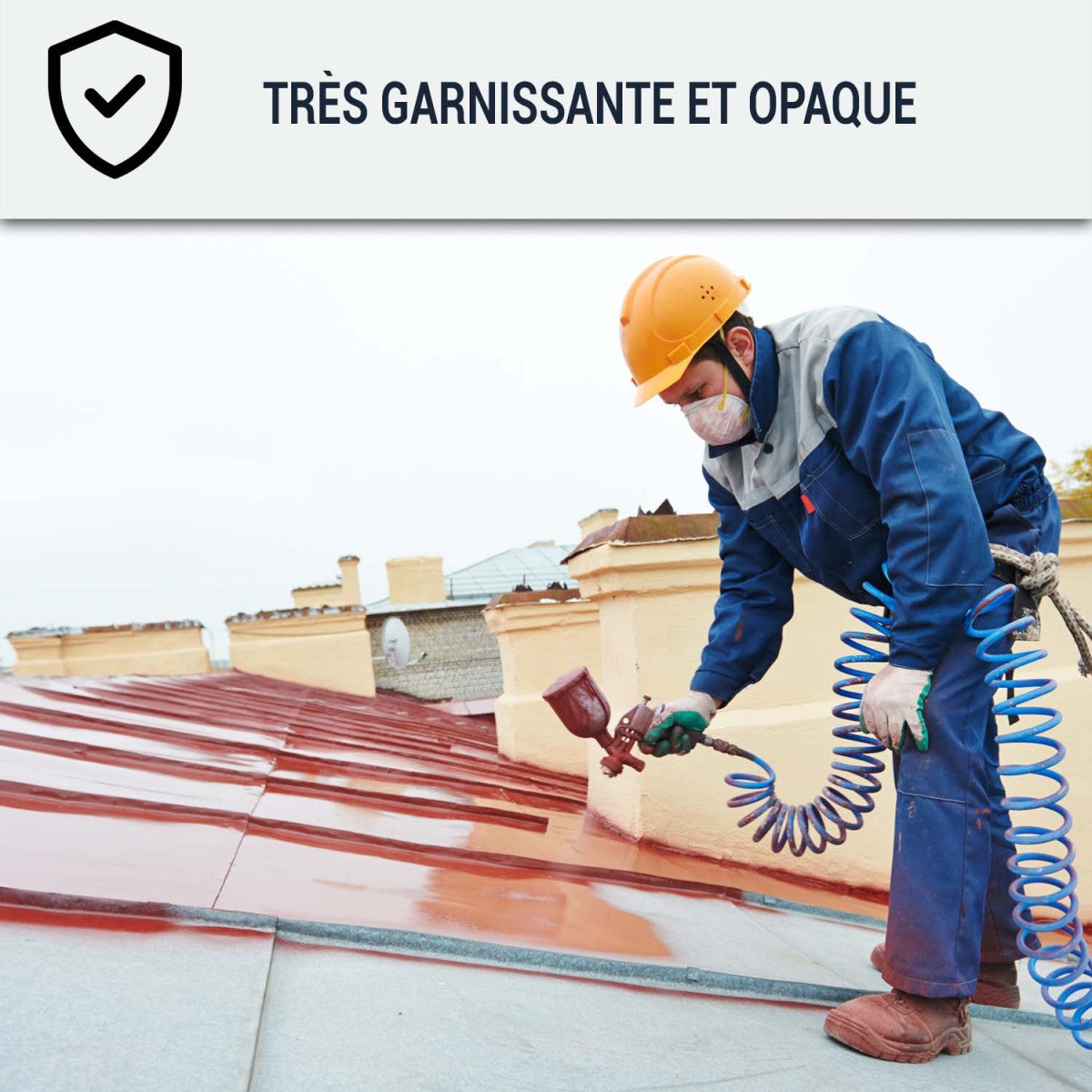 Peinture Toiture pour tuiles ou toiture en matériau poreux : ARCATOITURE Gris fenetre - RAL 7040 - 2.5 L - ARCANE INDUSTRIES - 6