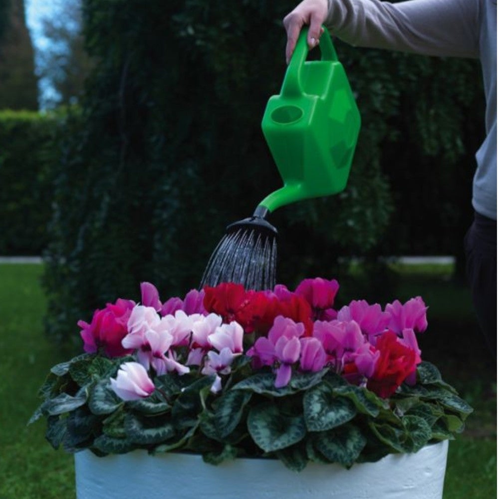 Annaffiatoio Neroli In Plastica Resistente - Capacità 12 Litri - 5
