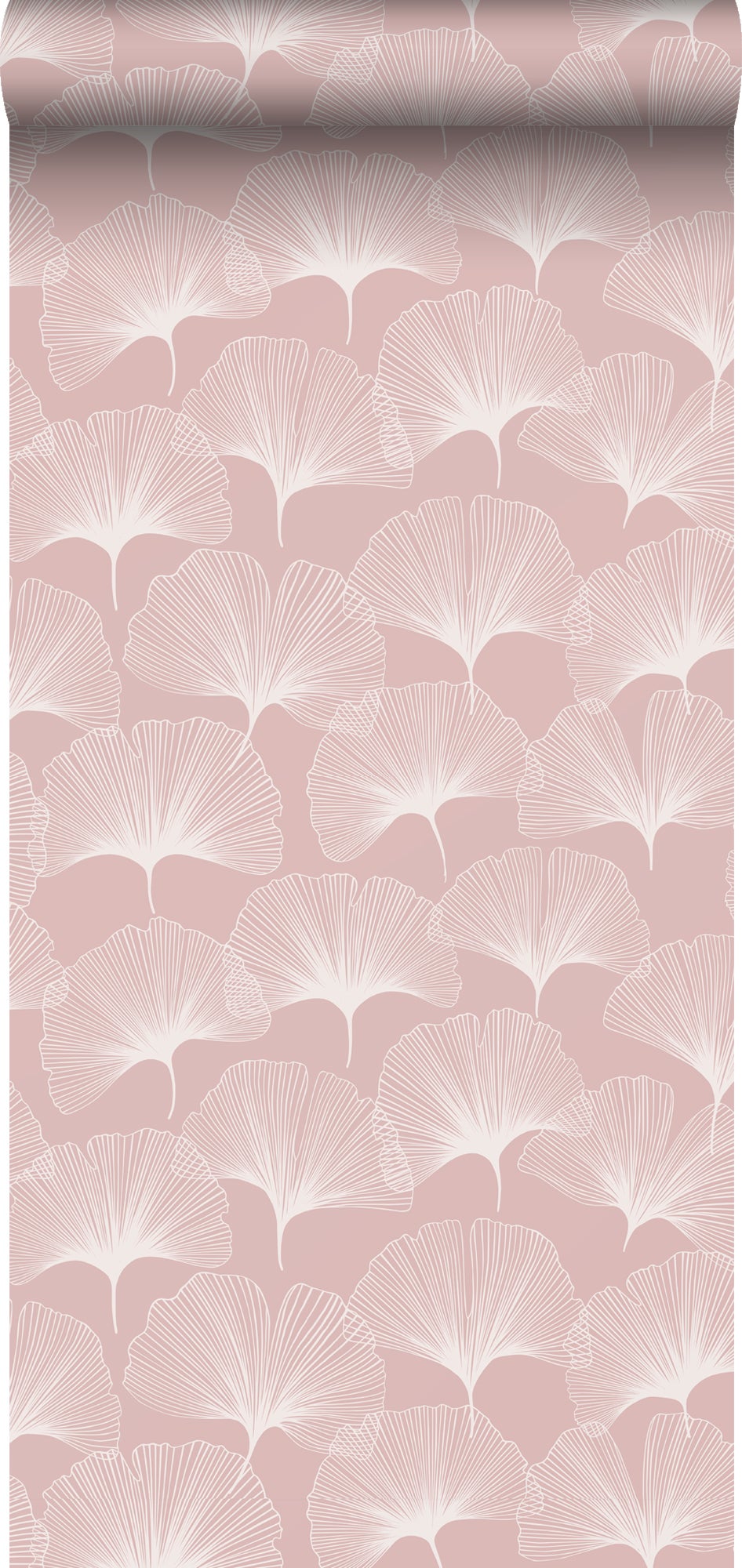 Tapeta liście miłorzębu delikatnego różu - 50 x 900 cm - ESTAHOME