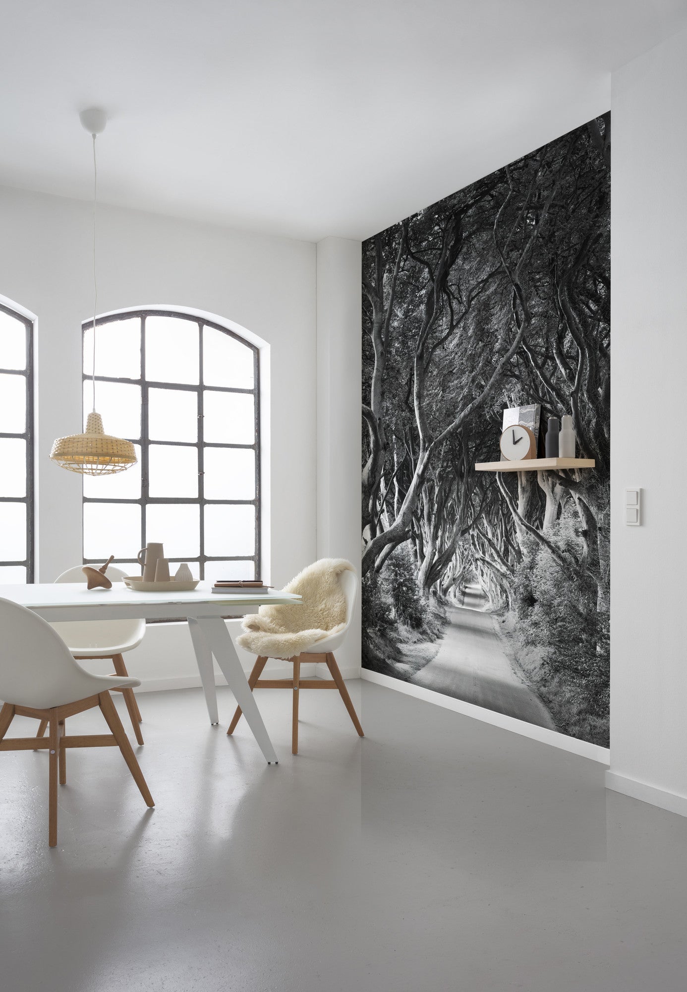 Fototapeta las czarno-białym - 250 x 280 cm - SANDERS &amp; SANDERS
