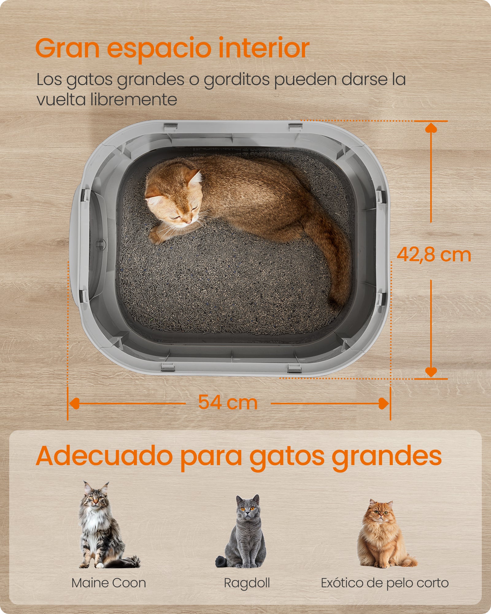Arenero Cerrado para Gatos XXL, con Tapa, Bandeja Extraíble, Recogedor, Cepillo, Antipérdida, Gris - 6