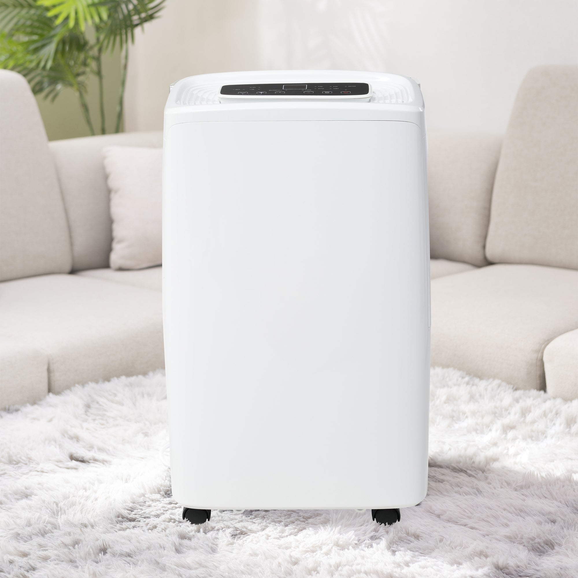 Deshumidificador con pantalla led y temporizador de 1 a 24 horas, 12 l/día, depósito de 1,5 l, plástico, blanco.