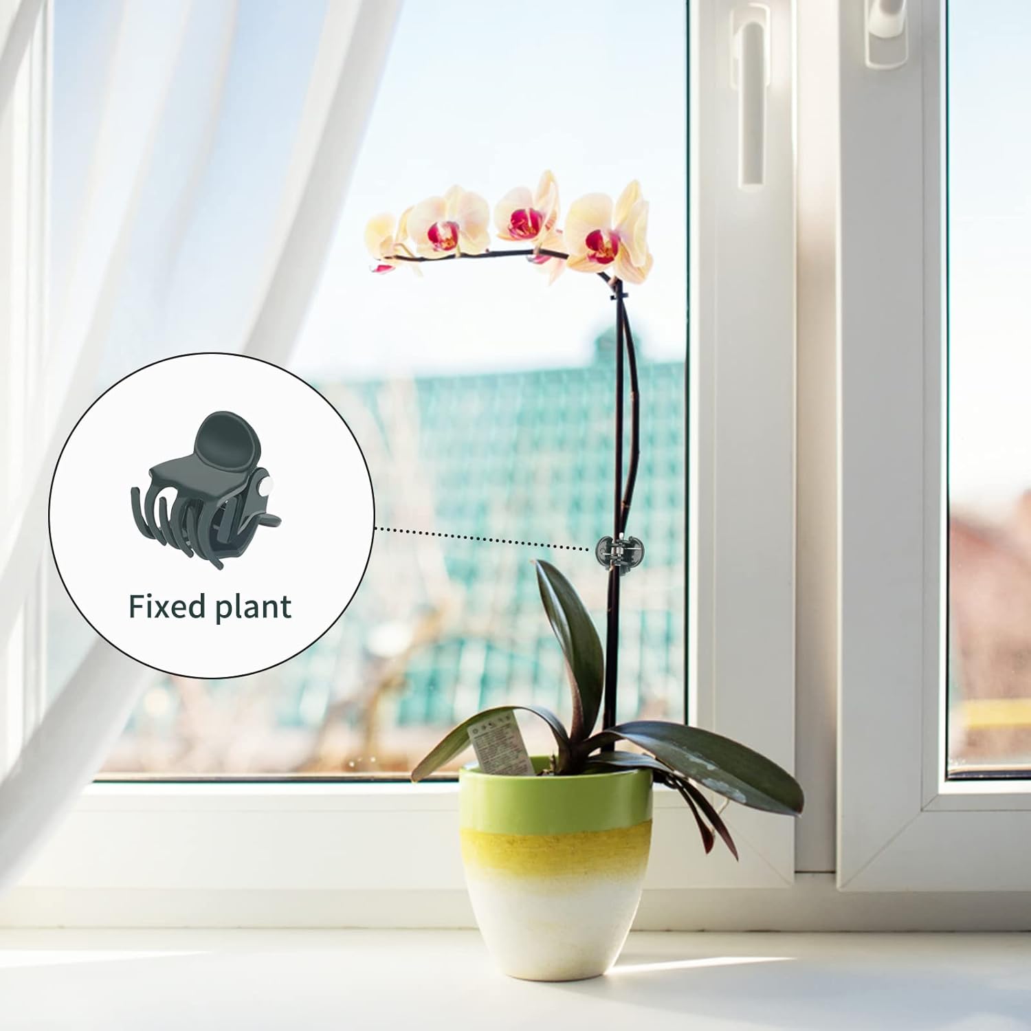100 Pieces Clips de Support Plante,Clips pour Plantes Grimpantes,Clips Attache Tuteur,pour Plantes,Fleurs-Orchidée Style - 4