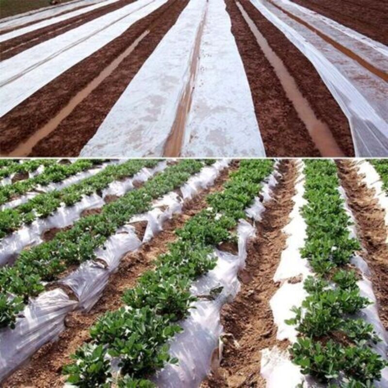 Bache pour Serre, Bache Plastique Transparente, Film Polyéthylène Extra-épais Clair 2m x 8m pour Polytunnel Légumes et Tomates - 5