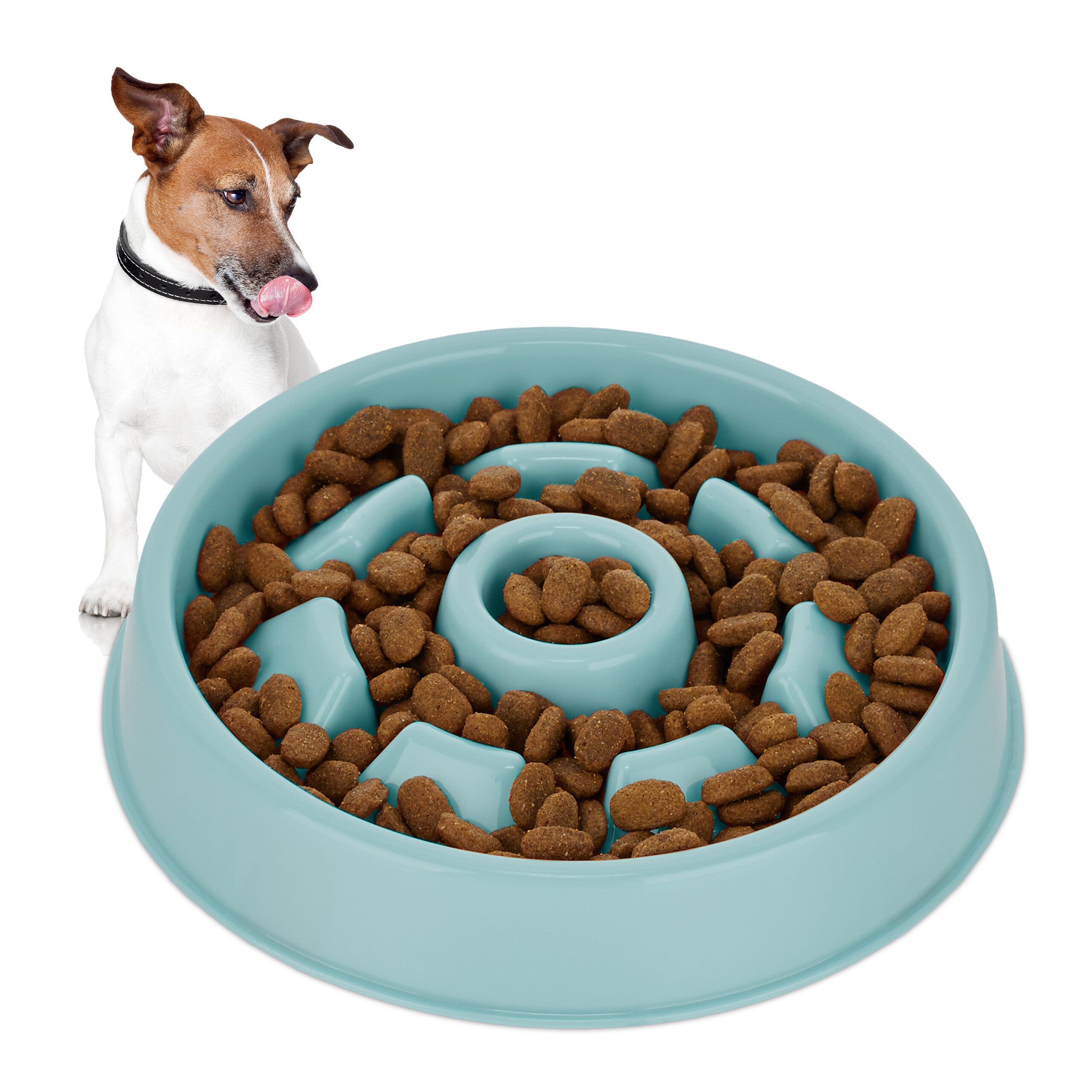 Comederos Antivoracidad Perro, Cuenco Canino Obstáculos