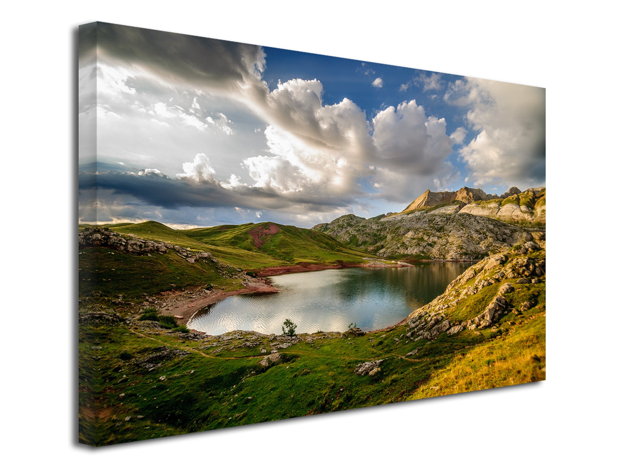 DECLINA, Tableau toile imprimée Paysage, Tableau toile Landes, 100x50