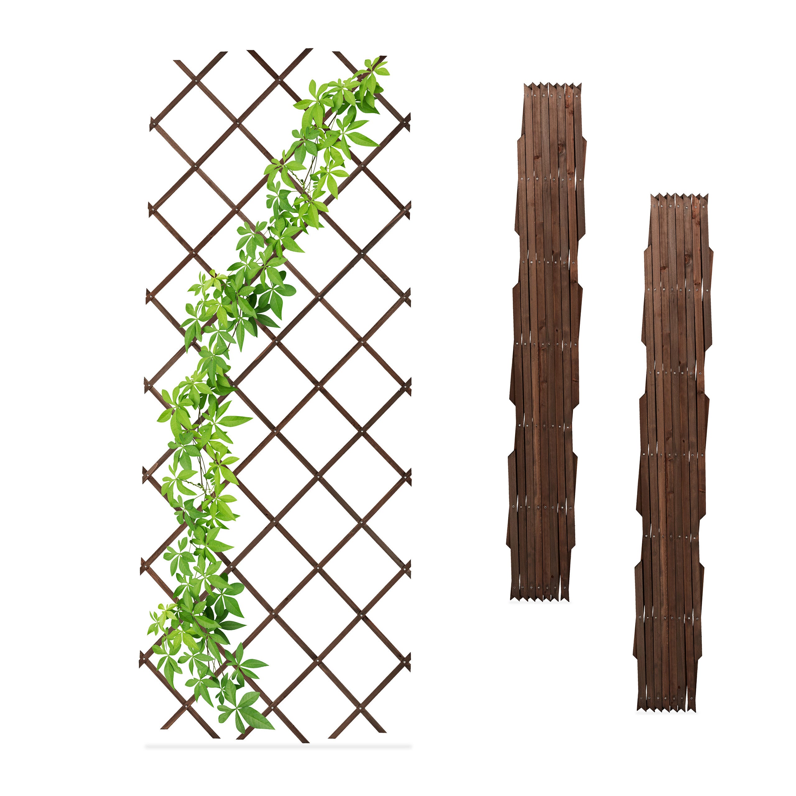 Tuteurs à Tomates Relaxdays Extensibles - Lot De 3, Bois Sapin Marron, 180x60 Cm, Pour Plantes Grimpantes (rosiers, Clématites...)