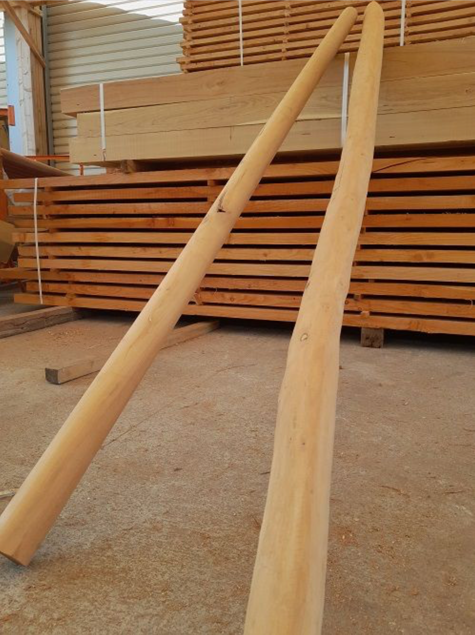 Mât voile ombrage - type bois flotté- hauteur 3.5 m - 3