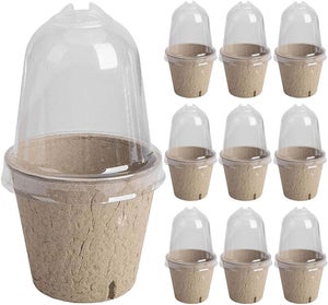 LATERN 50Pz 15cm Vasi da Fiori in Plastica, Blu Leggero Vasi di Partenza per Sem