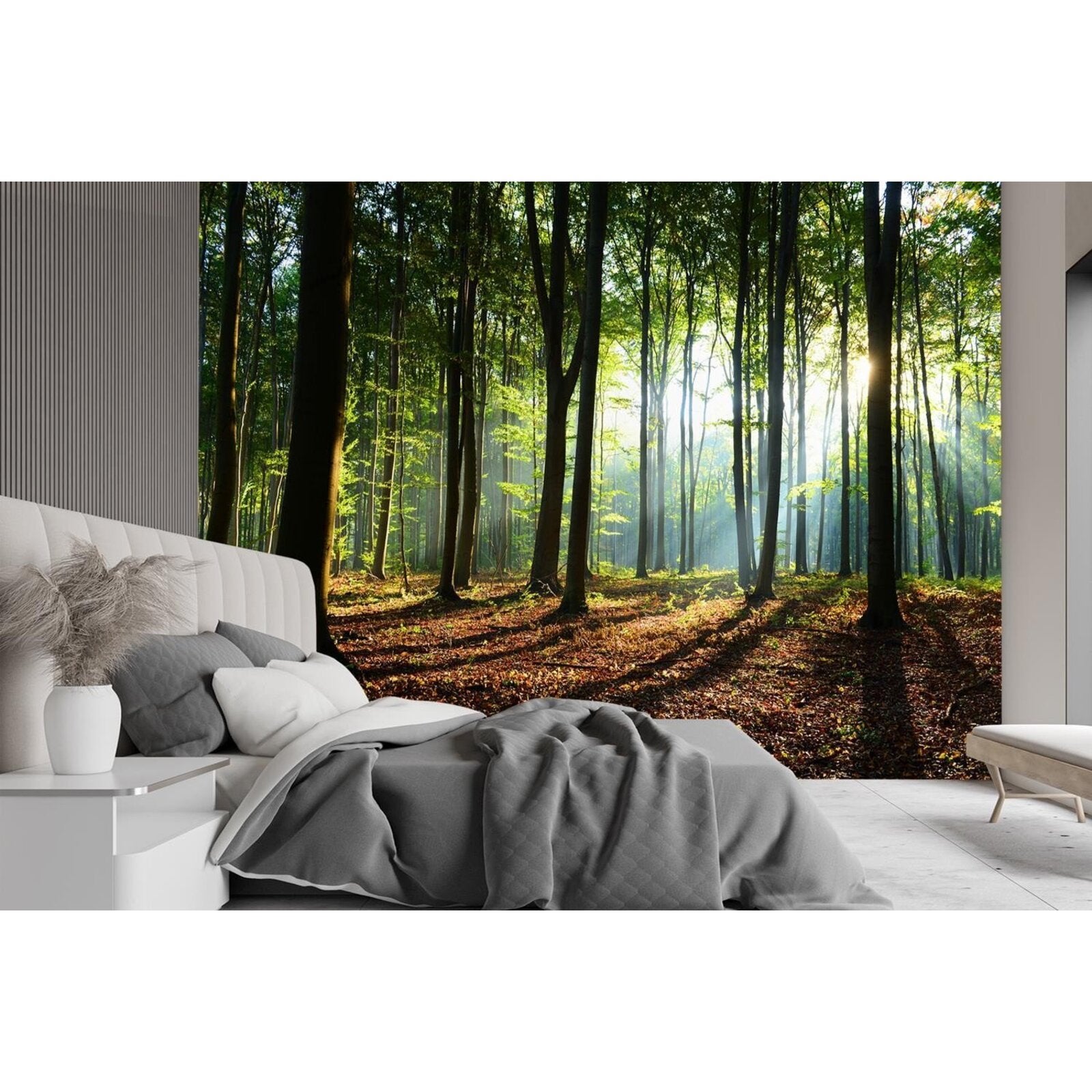 Papier peint matin dans la forêt - 450 x 315 cm - 2