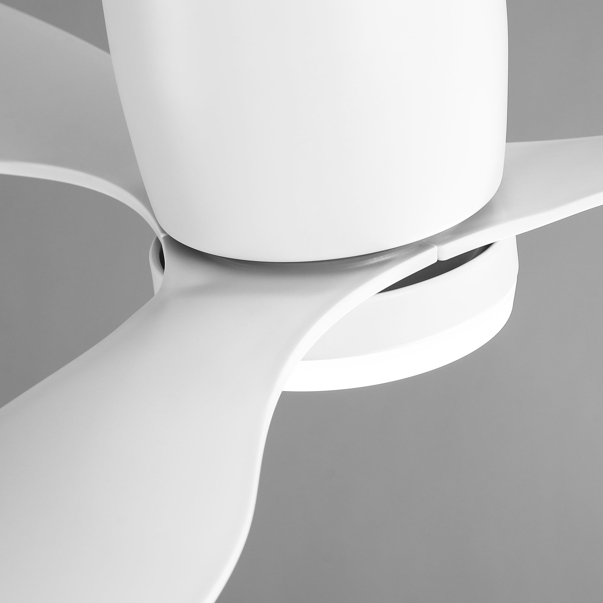 Ventilador de techo con luz Parrot Uncle silencioso motor DC con mando a distancia blanco mate 132 cm función invierno-verano - 9