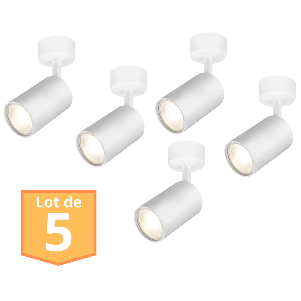 Lot De 4 Mini Spots Plafond Orientables LED - Ø 2 Cm, Blanc Chaud - Transformateur Inclus