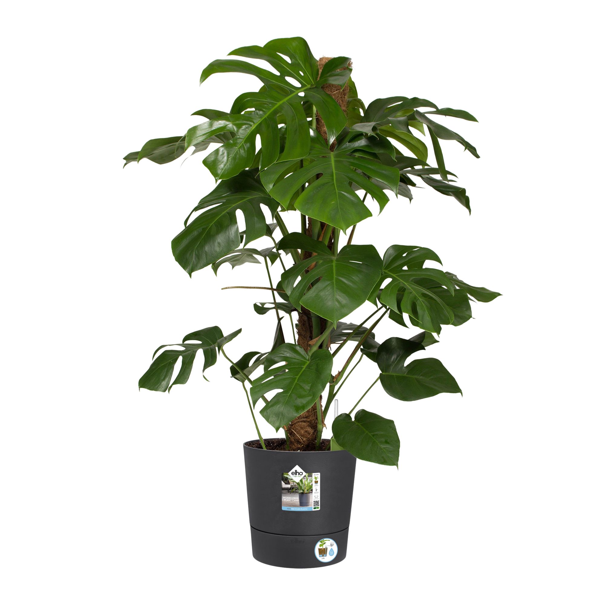 Pot polypropylène rond ELHO Greensense 30 cm, gris foncé - 3