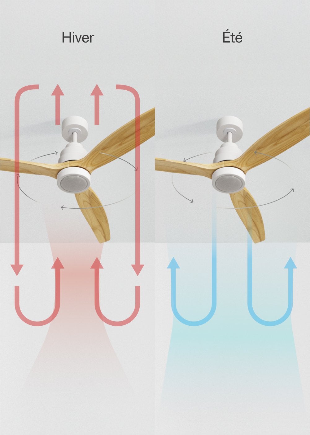 CREATE - WIND STYLANCE L - Ventilateur de plafond 40W silencieux 100% bois Ø 152 cm avec eclaraige sans wifi - 4