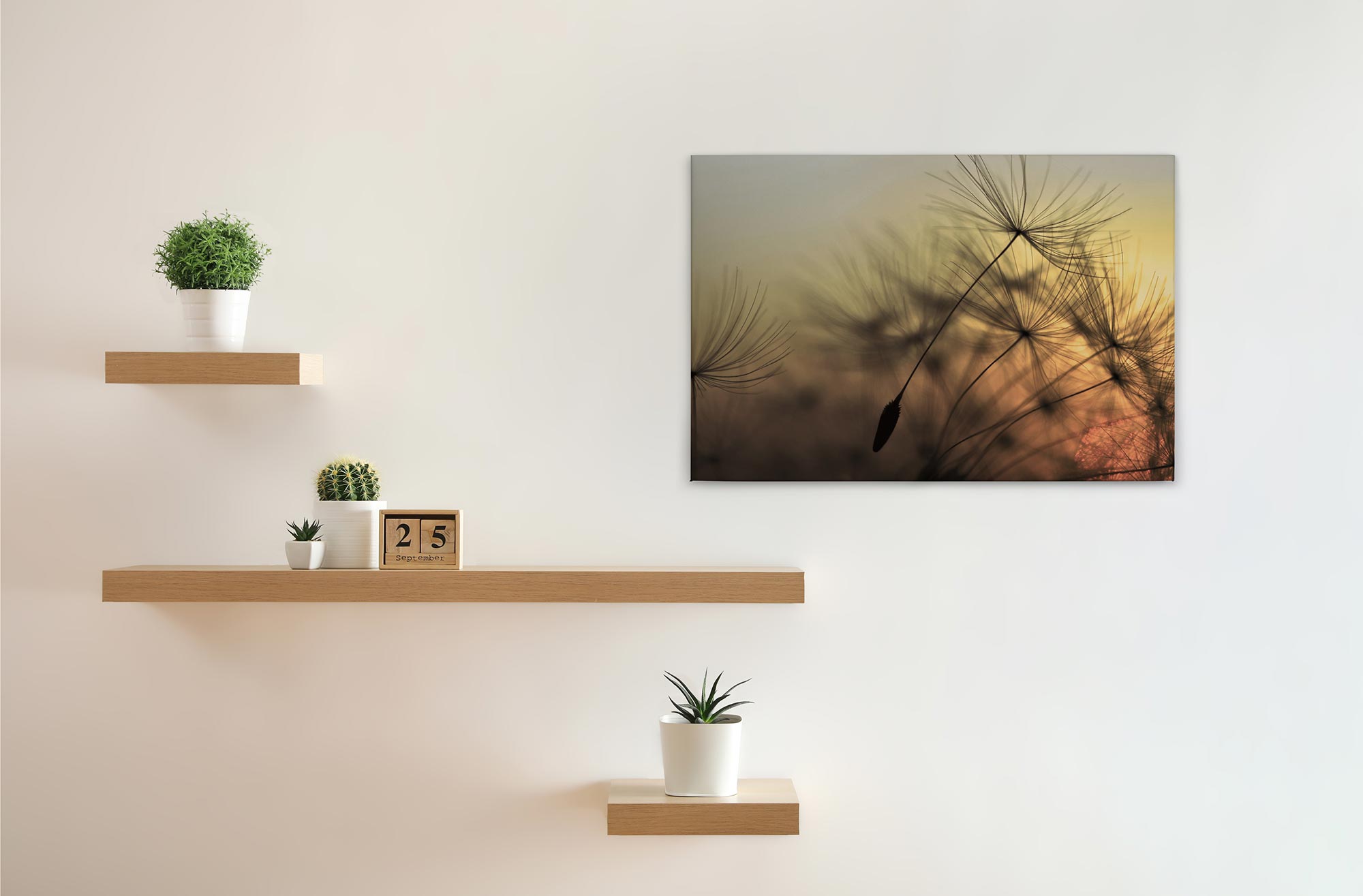 Image sur toile jardin de fleurs M1-No.50032 Murale Pissenlit Orange Jaune Châssis naturel - 2