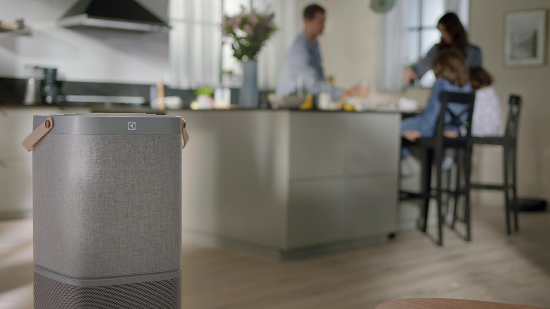 Electrolux EFDBTH6 Breathe360 Filtro antipolline adatto a PA91-604GY e PA91-604DG in grado di catturare e neutralizzare le particelle di polline dispe - 2