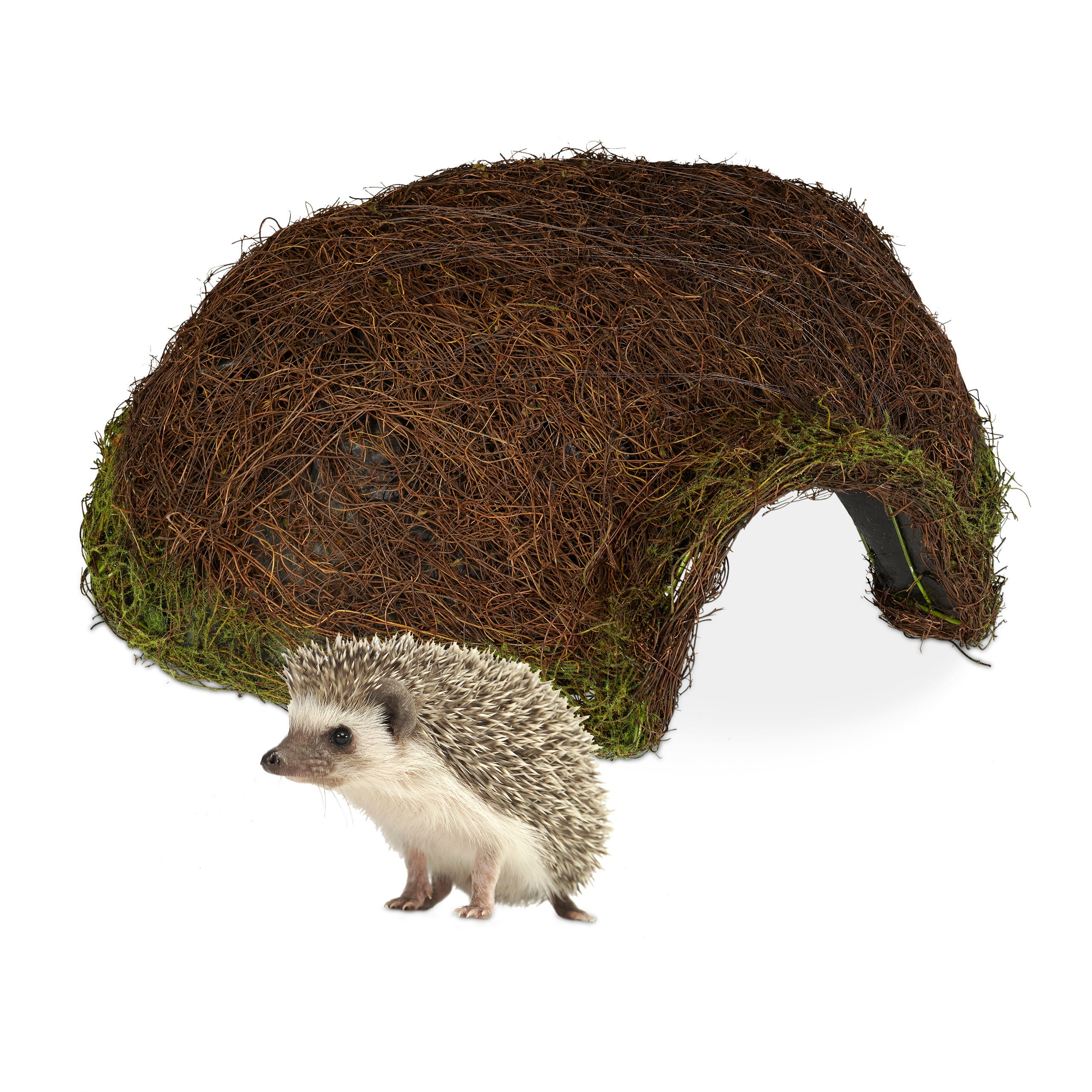 Maison Pour Hérisson, Kit De Construction, Sol Hérisson