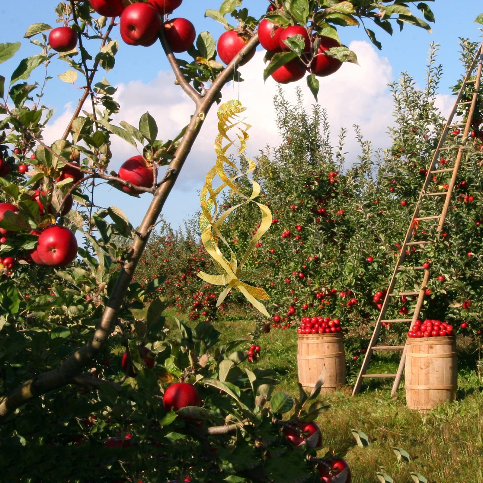 Embalagem de 6 refletores espirais anti-pássaros, dispositivo repelente de pássaros refletor, dourado, 45 x 30,5 cm - 5