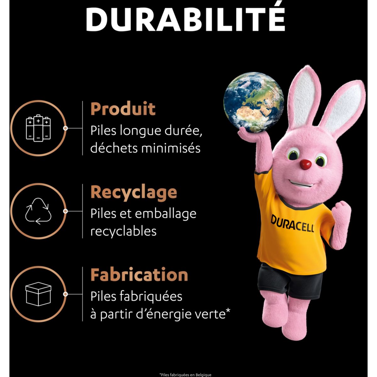 Duracell 5000394137516 batteria per uso domestico Batteria monouso Mini Stilo AAA - 5