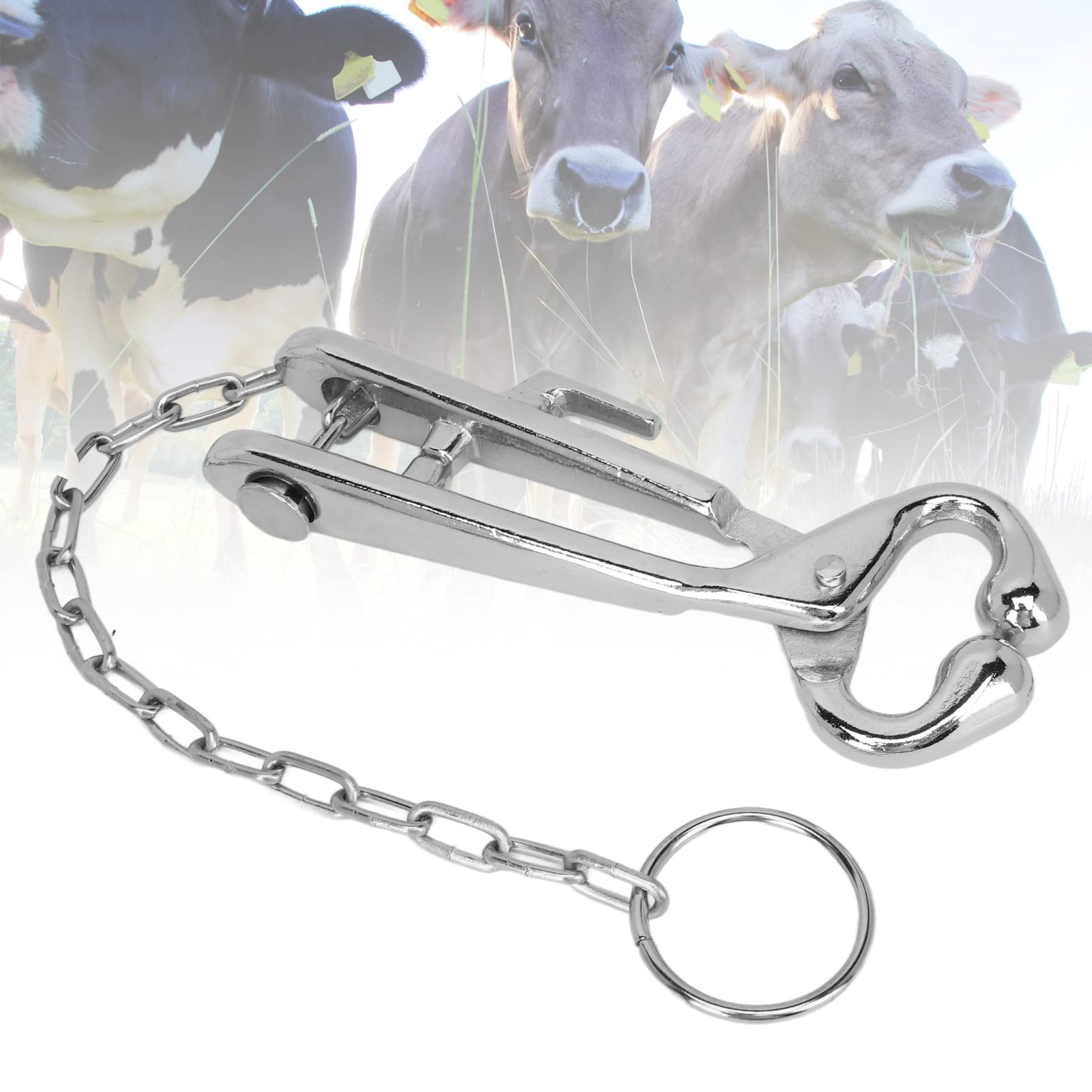 Pinza A Labbro Di Pesce Con Scala Di Pesca Professionale In Acqua Salata Attrezzatura Da Pesca Impermeabile Fish Control Tackle Fish Holder Jue