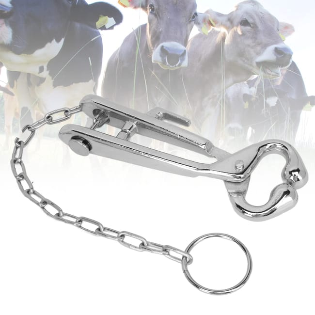 Pinza A Labbro Di Pesce Con Scala Di Pesca Professionale In Acqua Salata Attrezzatura Da Pesca Impermeabile Fish Control Tackle Fish Holder Jue Pinza A Labbro Di Pesce Con Scala Di Pesca Professionale In Acqua Salata Attrezzatura Da Pesca Impermeabile Fish Control Tackle Fish Holder Jue