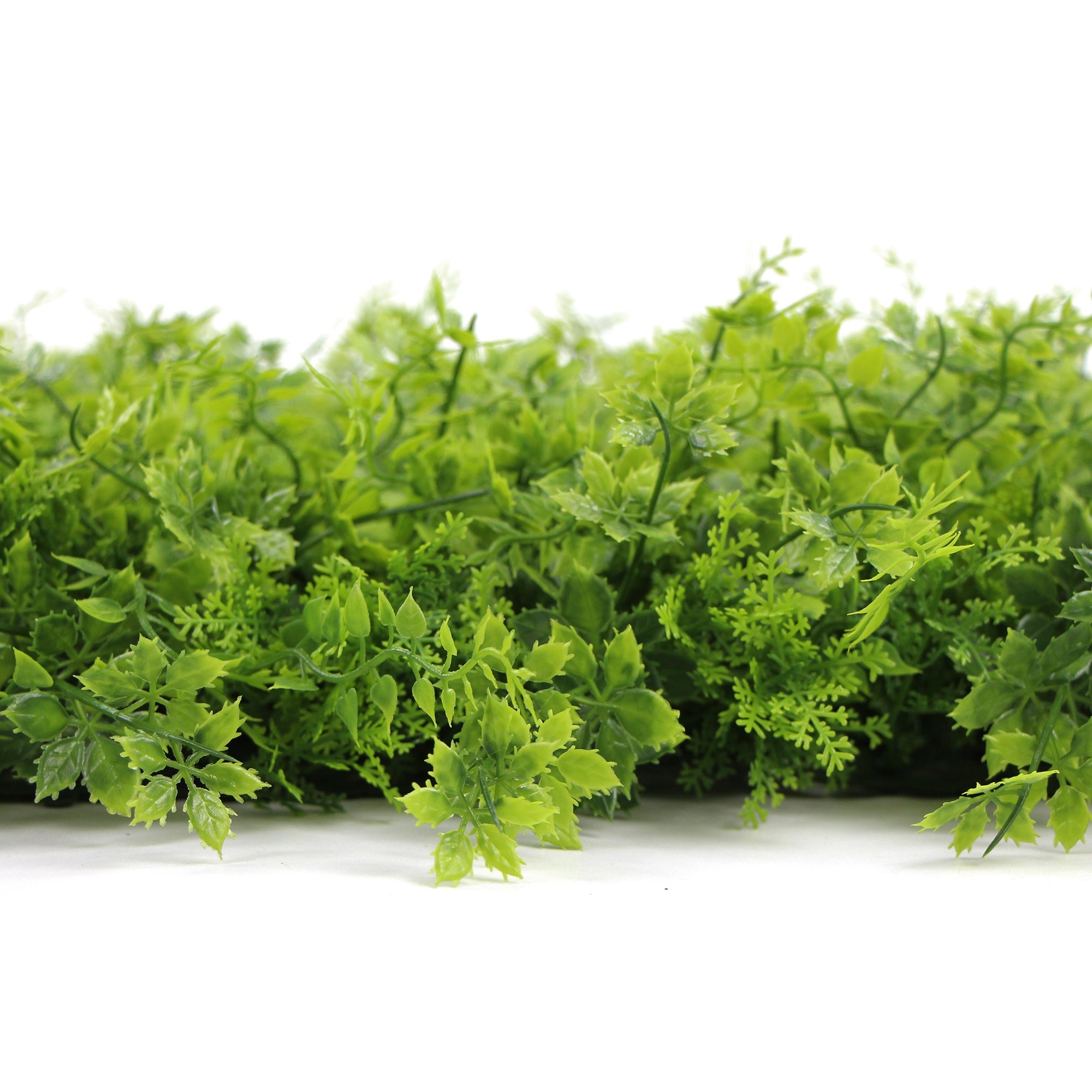 Fiji | FOLY - 50 x 50 cm - Mur végétal artificiel extérieur et intérieur - Imitation fougère - Garantie UV 5 ans - JIVANA - 2