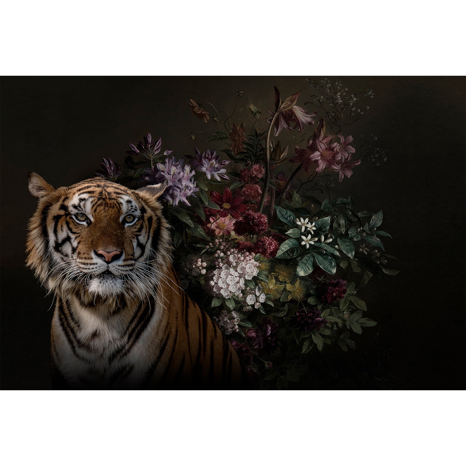 Toile encadrée Tigre caché jungle / 60x90cm / Cadre Effet naturel / Fabriqué en France / Déco