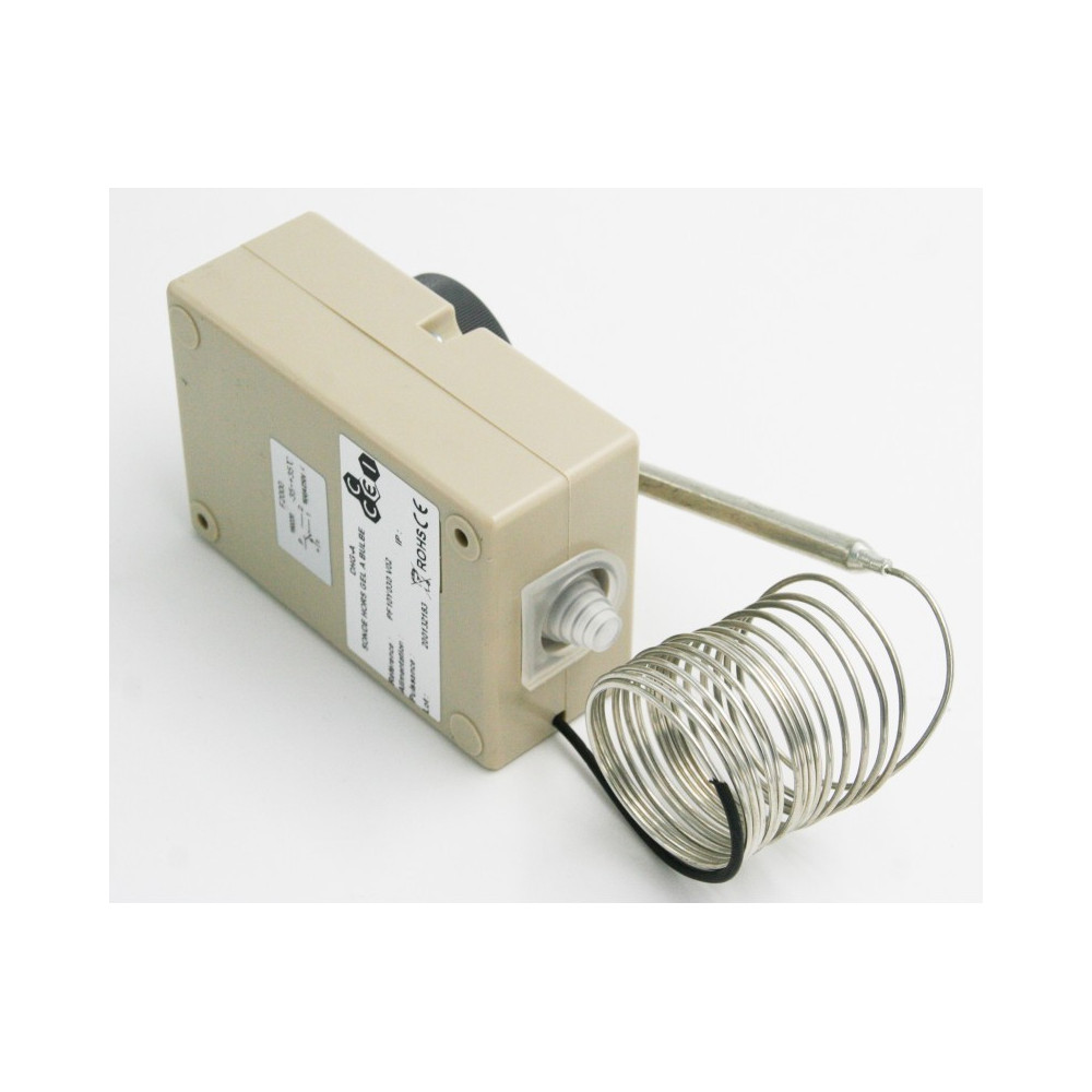 Sonde Hors gel - Pour piscine - Manuelle - 4