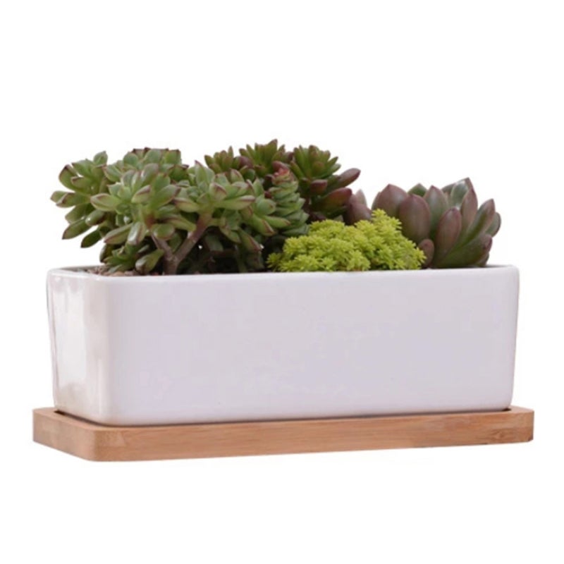 4 Pcs Pot De Succulent En Céramique Blanc Rond 5 Cm Avec Plateau En Bambou, Cactus Planteur, Pot