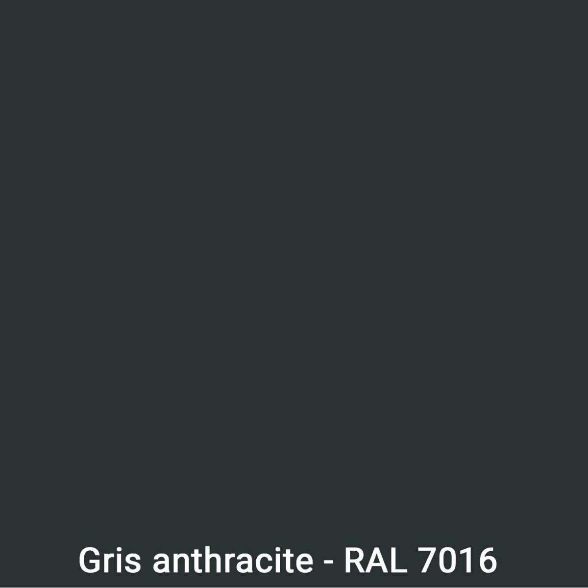 Peinture Bois Extérieur : Portails, bardage, abri, mobilier de jardin : ARCALAQUE 201 Gris Anthracite - RAL 7016 - 0.5 L - ARCANE INDUSTRIES - 2