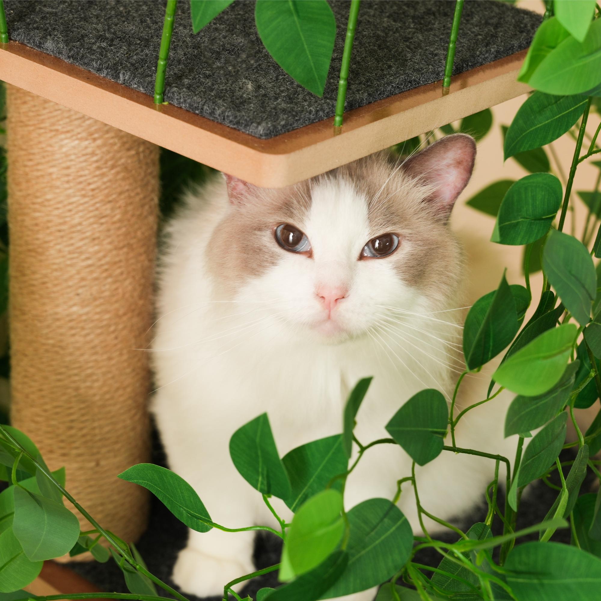 Árvore para gatos 190 cm em forma de árvore com 4 plataformas – Design natural, MDF impermeável e arranhadores para escalar, esconder-se e observar - 5