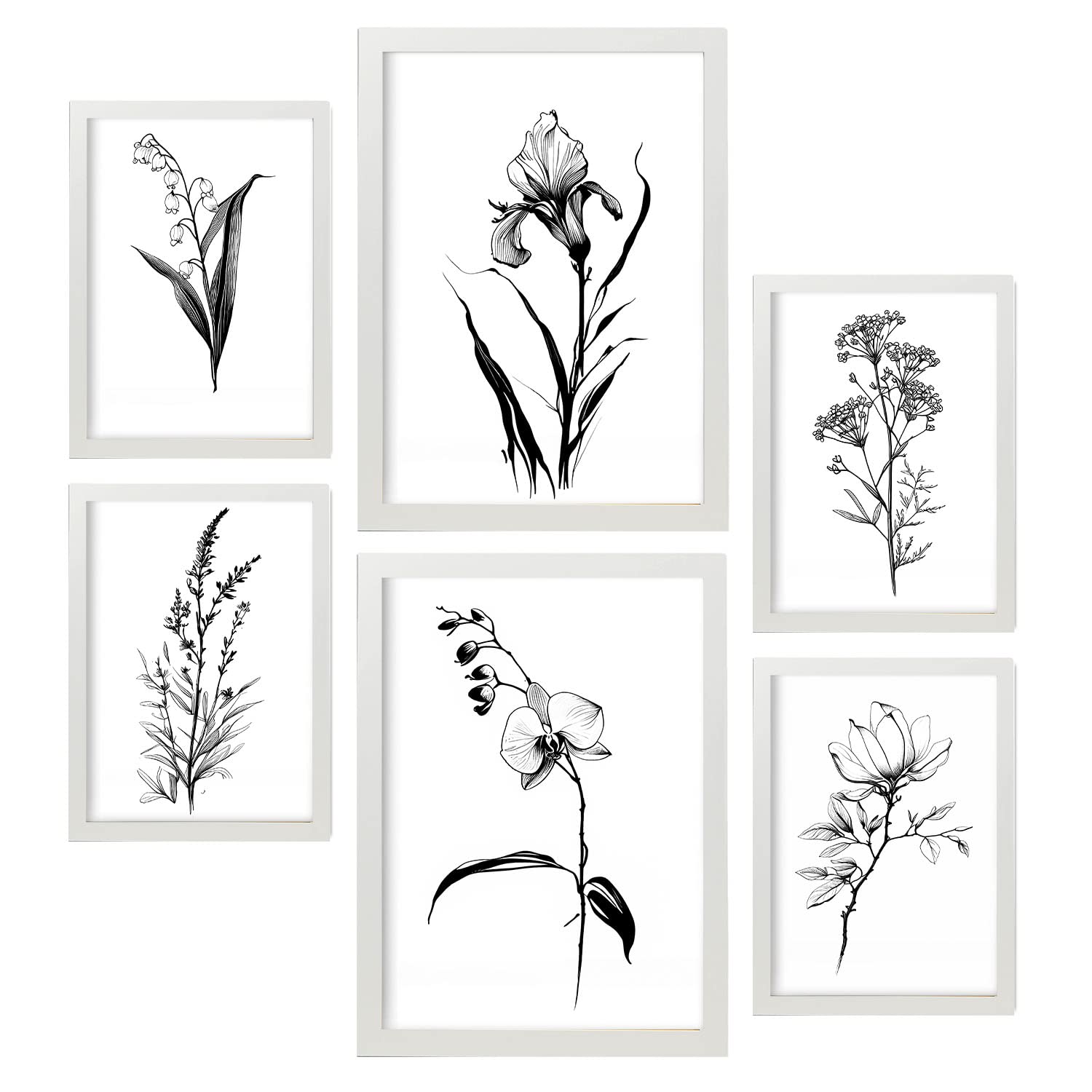 Nacnic Ortensia Di Poster Botanico Di Piante Di Fiori In Bianco E Nero