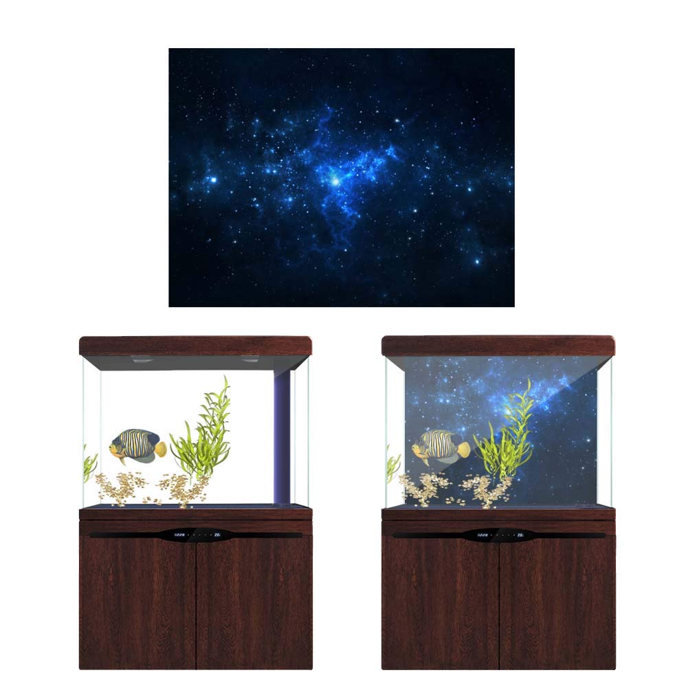 Amosfun Ganci Autoadesivi A Forma Di Pesce: Set Da 6, In PVC, Perfetti Per Appendere Vestiti, Chiavi, Asciugamani