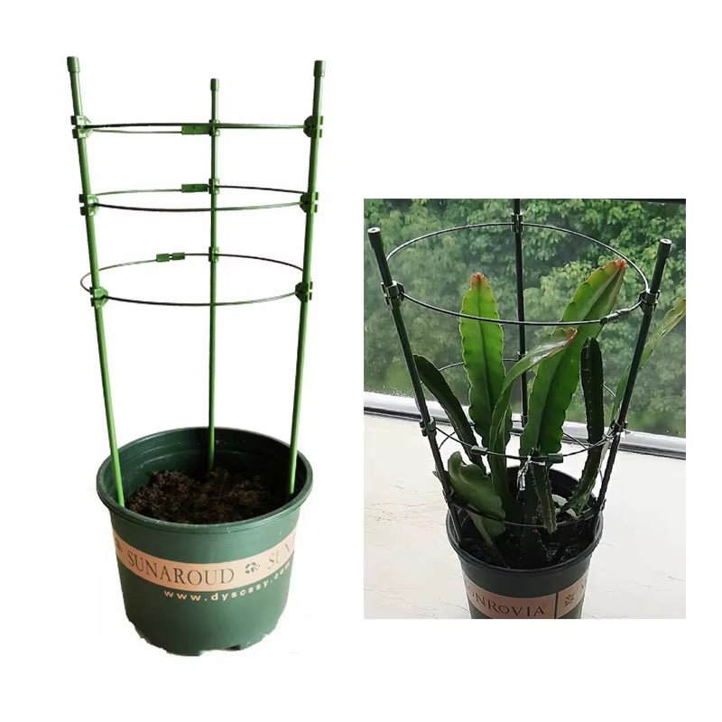4 Pezzi di supporto per piante da giardino per uva, Supporto verticale per piante rampicanti per pomodori 40 x 40 x 100 cm