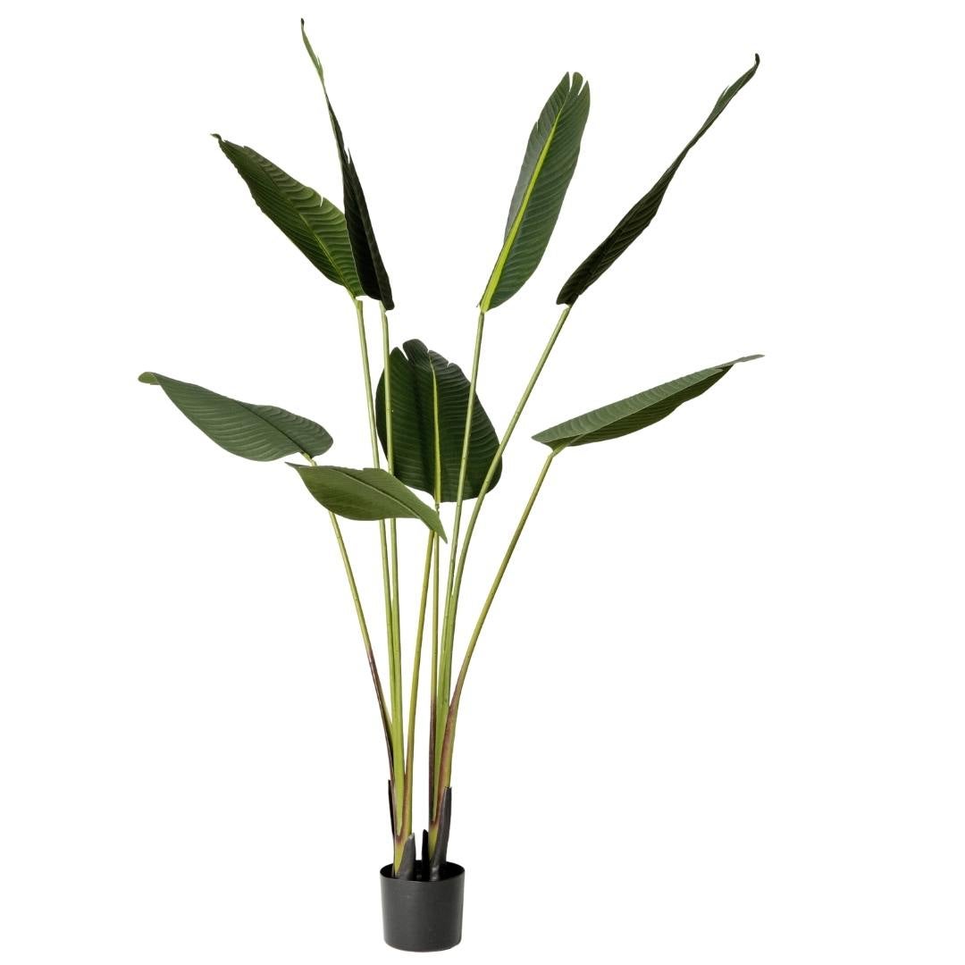 Kactus Republic  Planta Artificial Tropical, Ave Del Paraíso Strelitzia 160Cm. Gran Realismo Con Maceta Para Decoración Interior Salón Hogar Y Oficina , Leroy Merlin