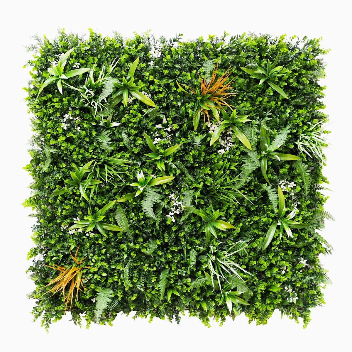 Mur Vegetal Savane decoration murale interieure plaque de 1m x 1m - 2