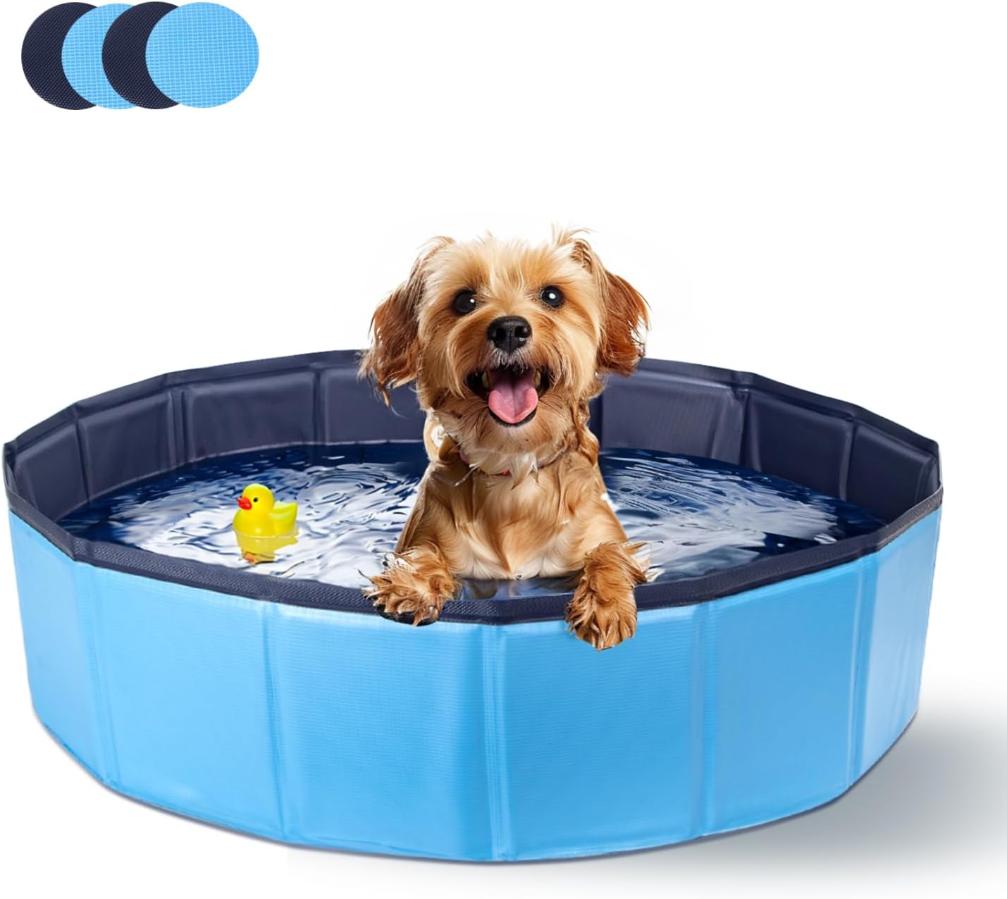 piscine-pour-chien-rigide-bassin-baignoire-pliable-pour-petit-et