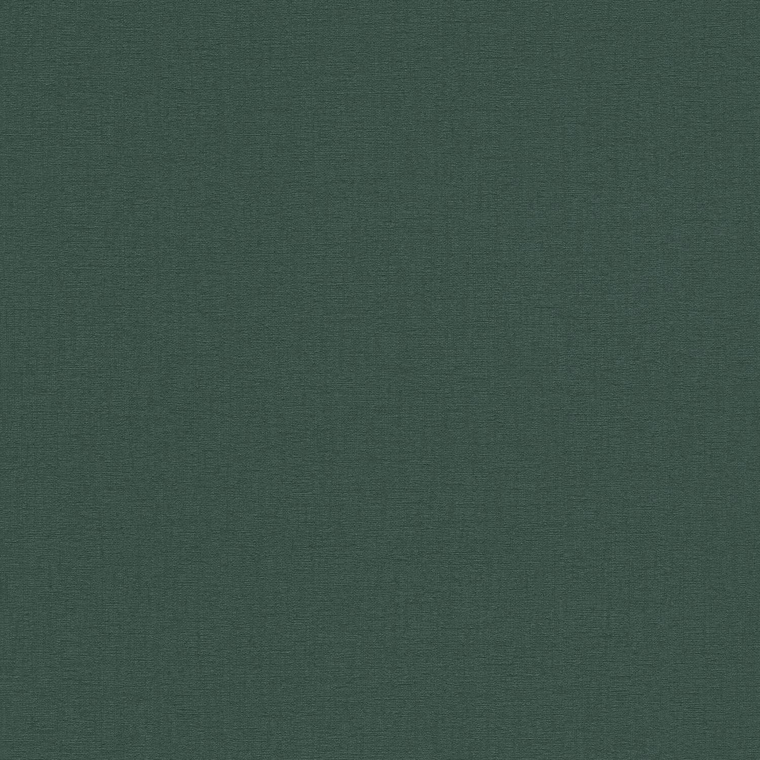 Papier Peint Intissé Jungle Enrico M1 - Vert Et Blanc - Tadessi - Neuf