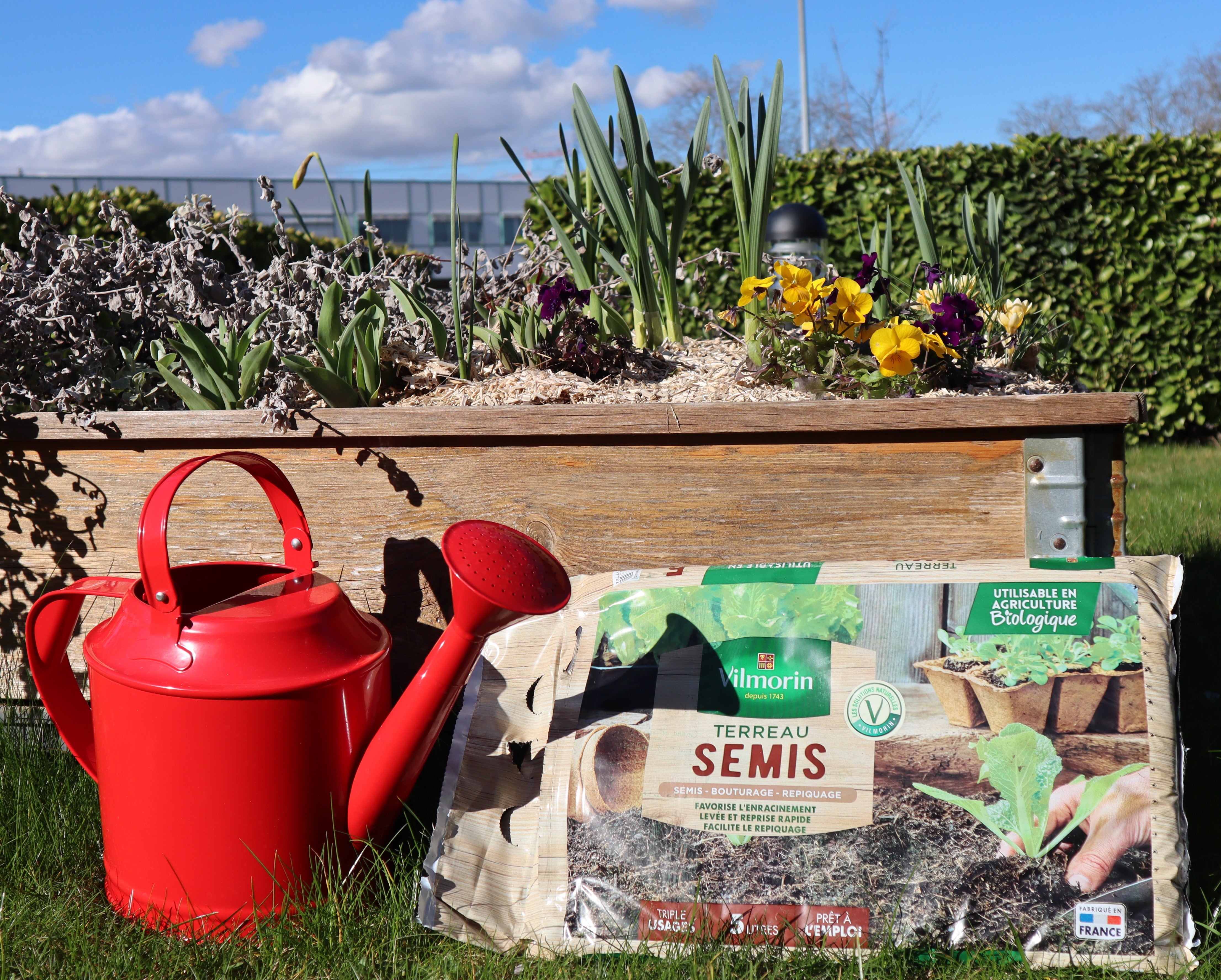 Terreau Semis Bouturage - 5 L - 3