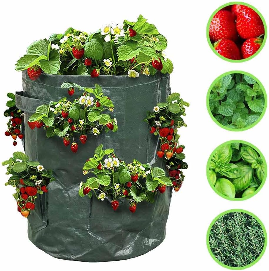 Sac à fraisiers - Sac de Plantation pour Fraises - Vert - 4